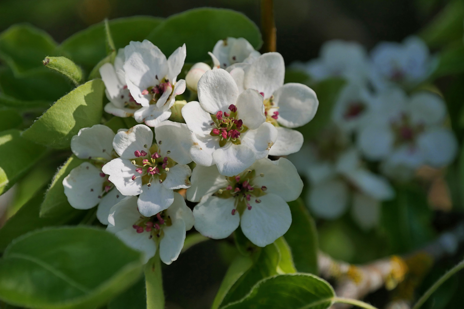 Frühling