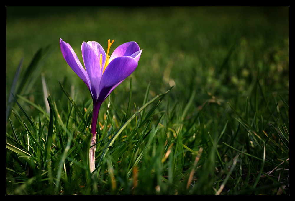 Frühling...