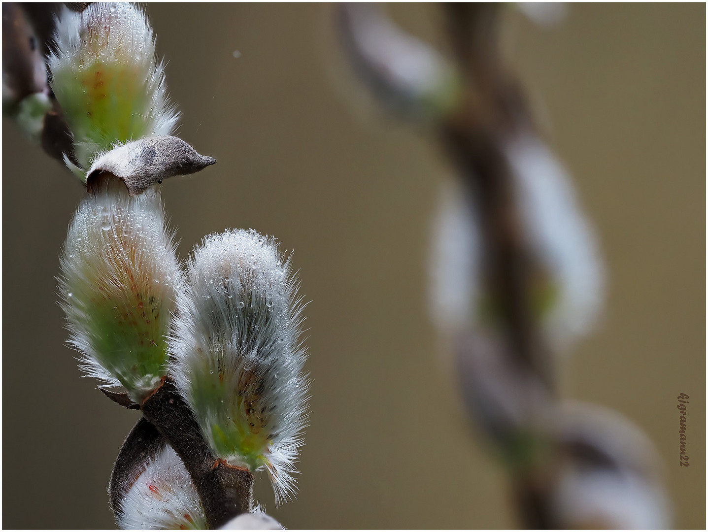 frühling ?  ....