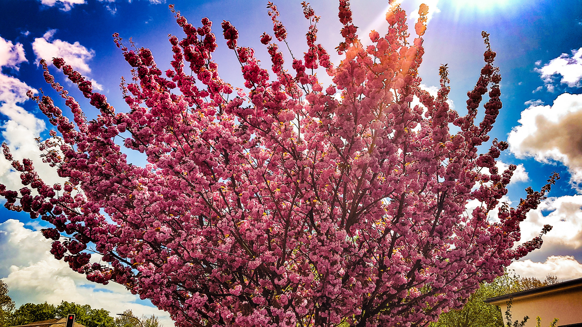 Frühling 