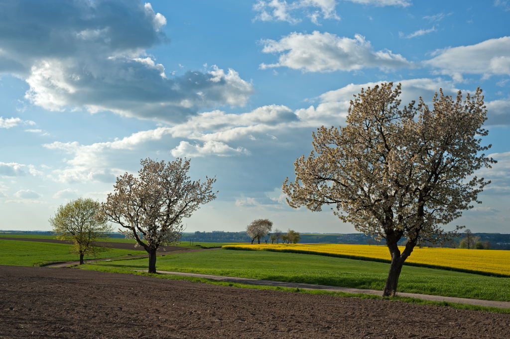 Frühling