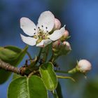 Frühling