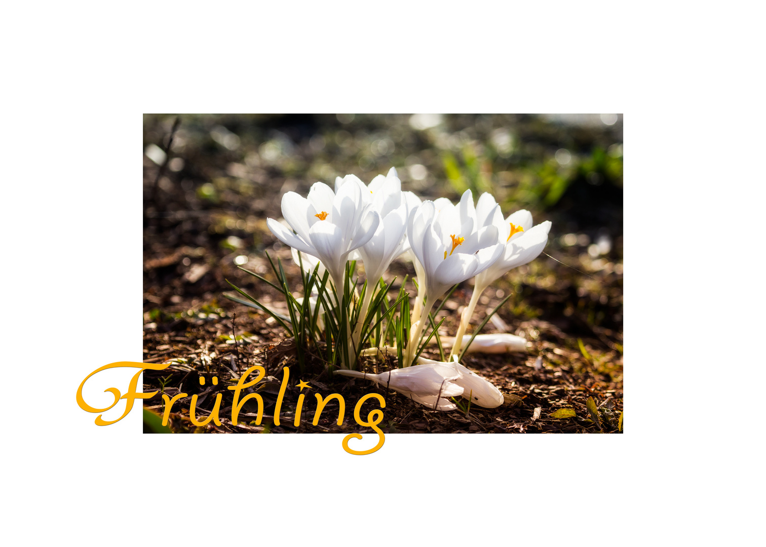 Frühling