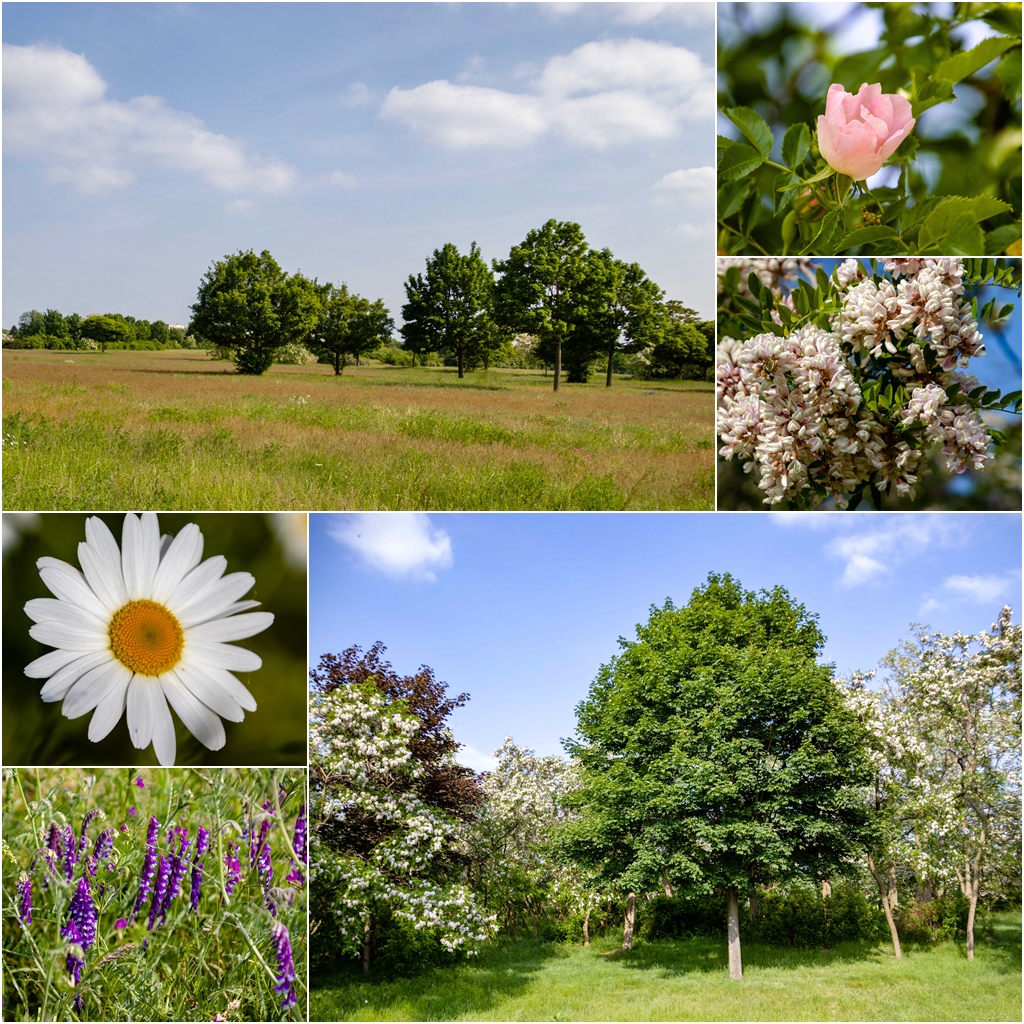 Frühling