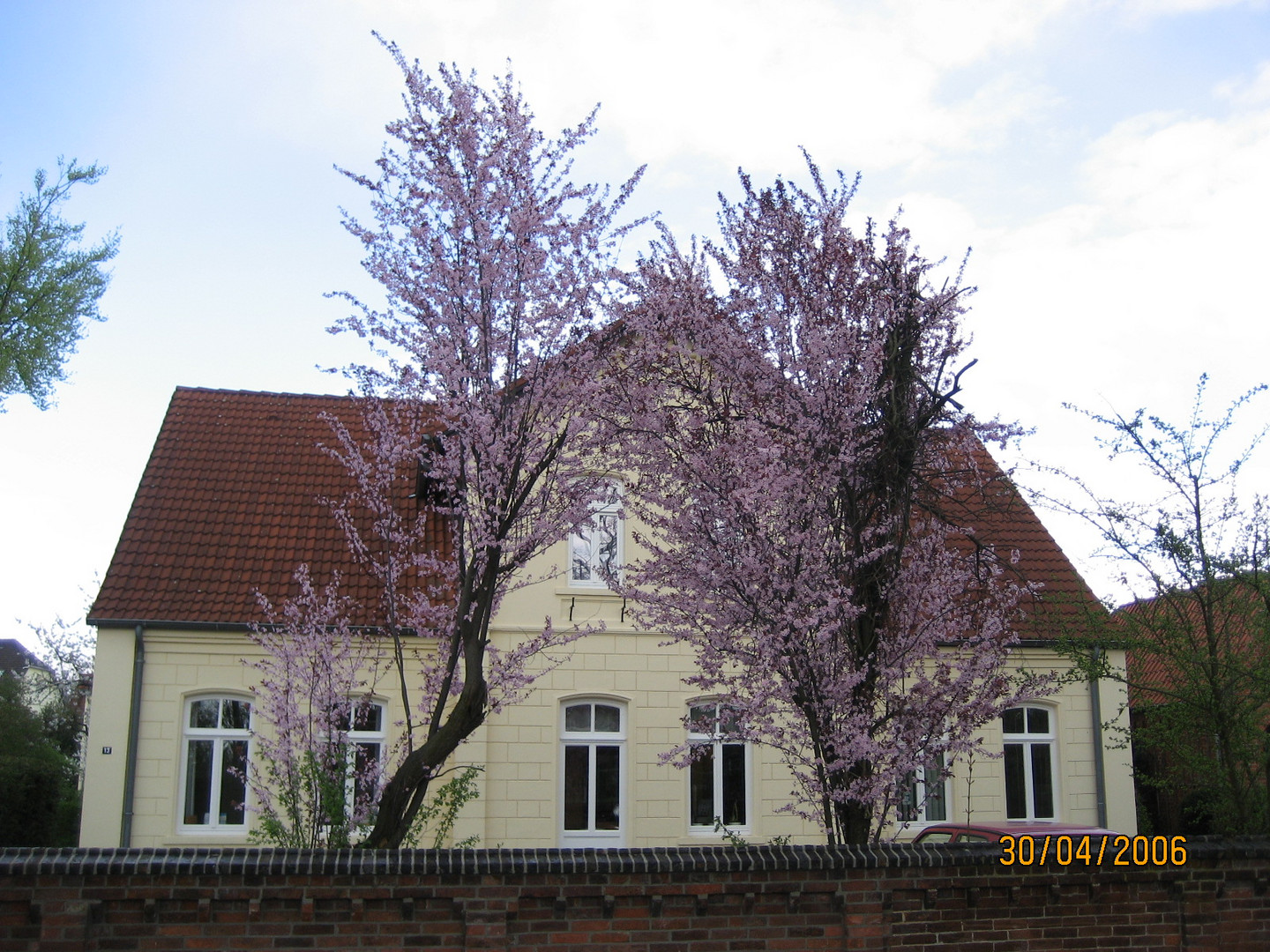 Frühling