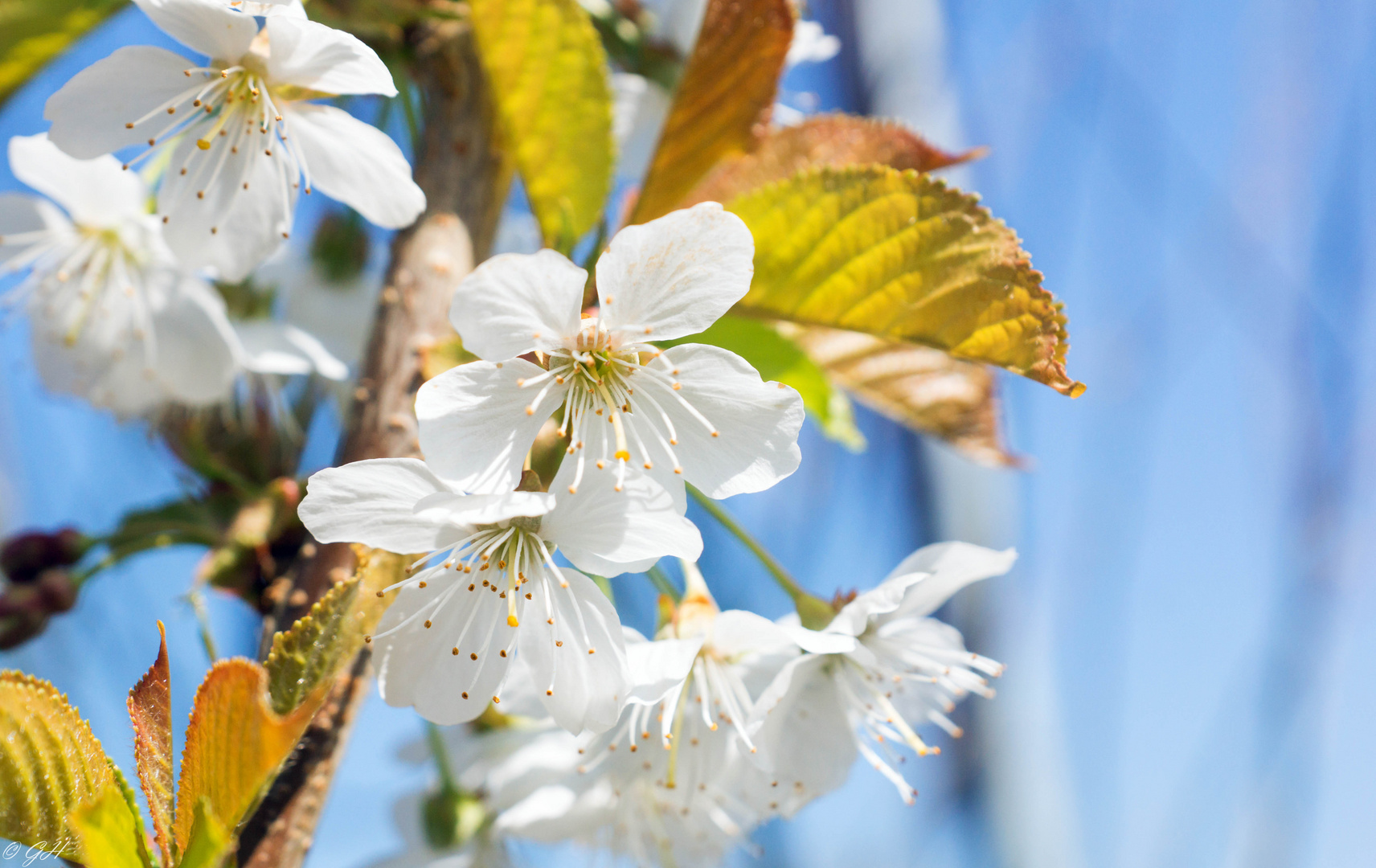 Frühling