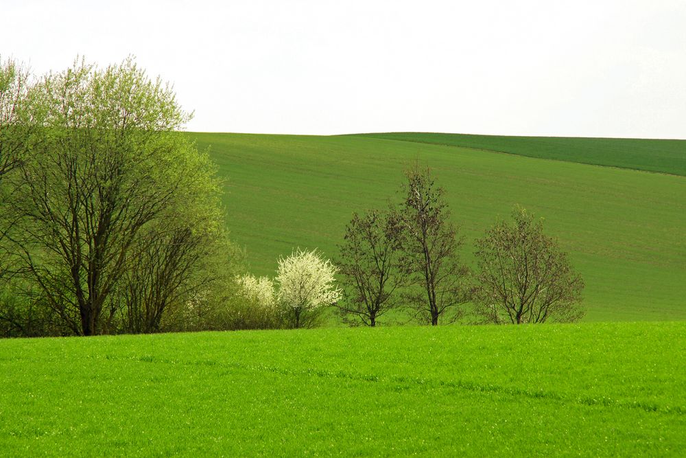 Frühling