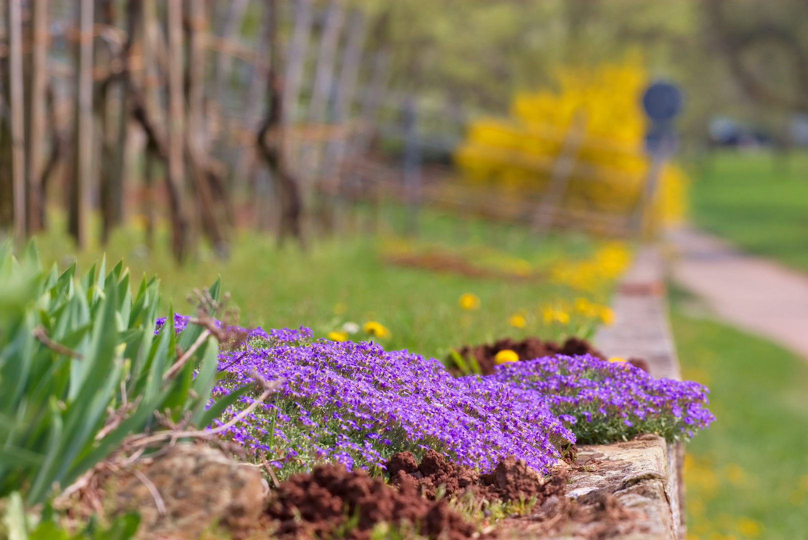 Frühling