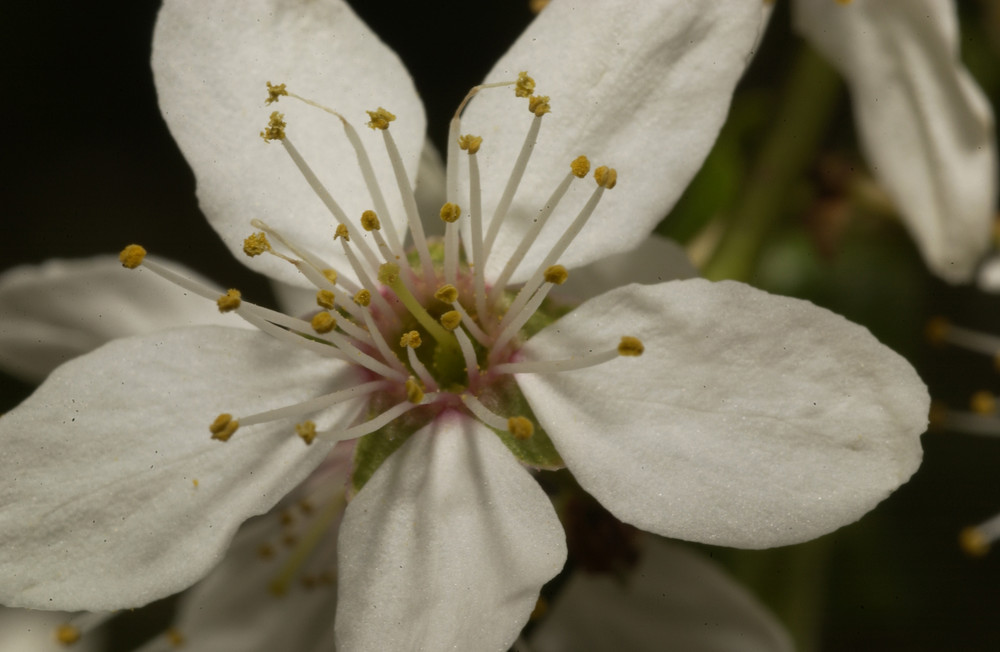 Frühling