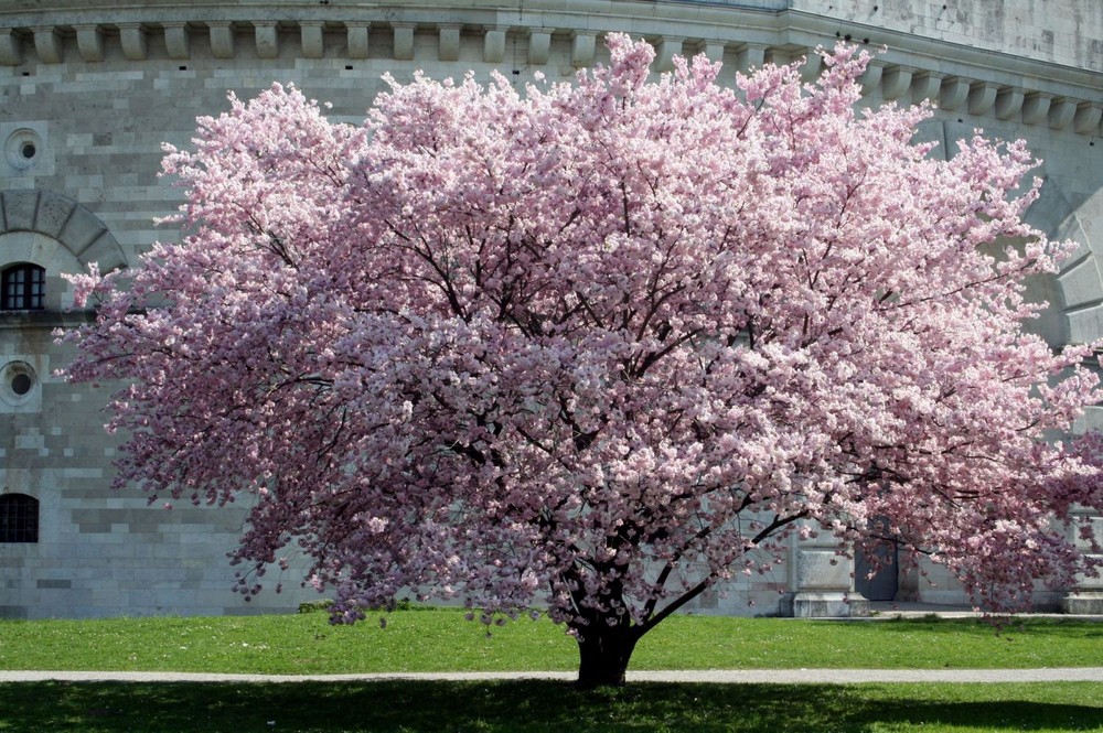 Frühling