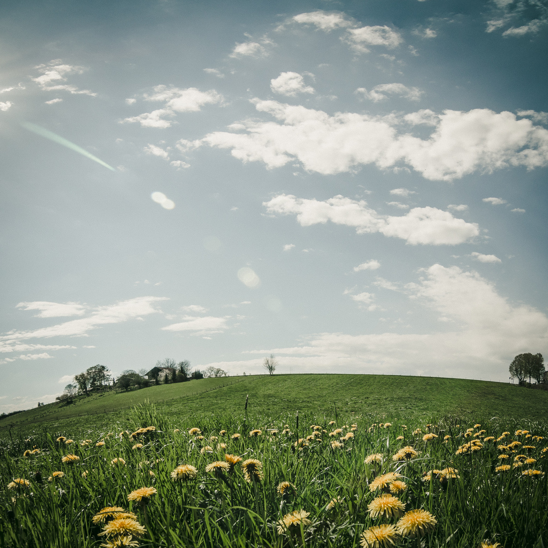 Frühling