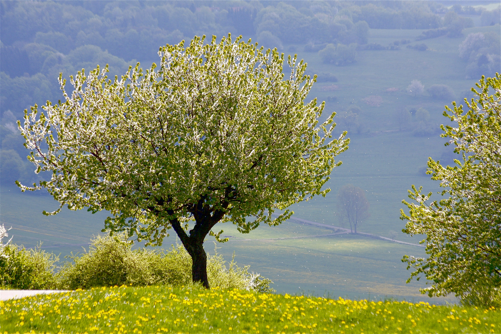 Frühling