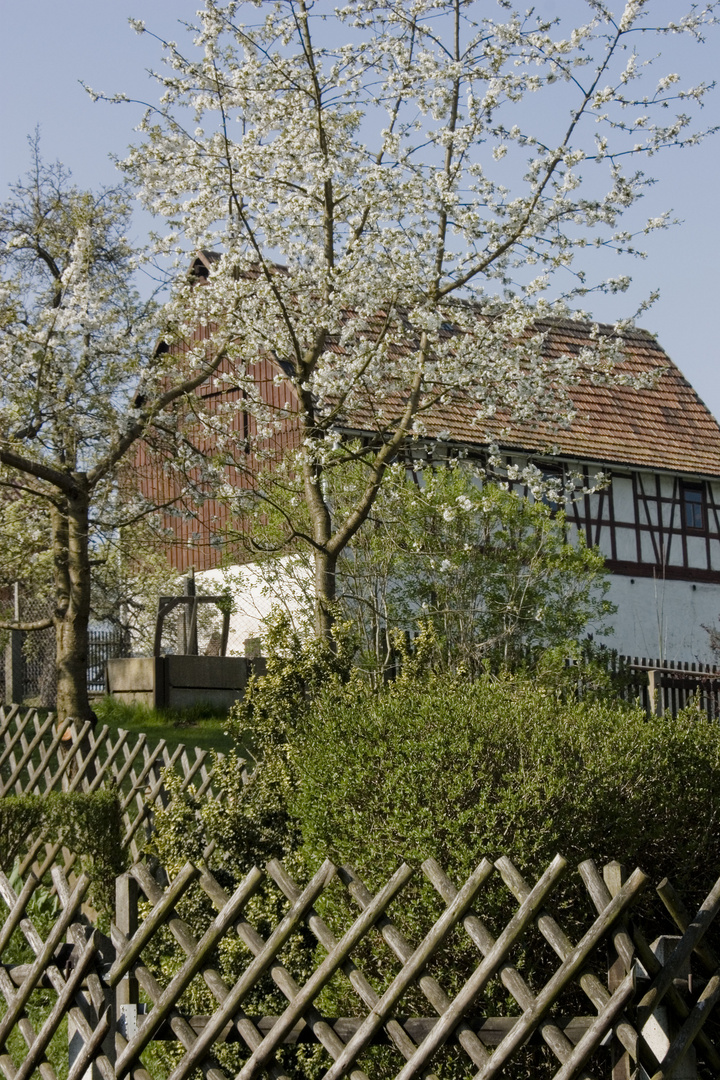 Frühling