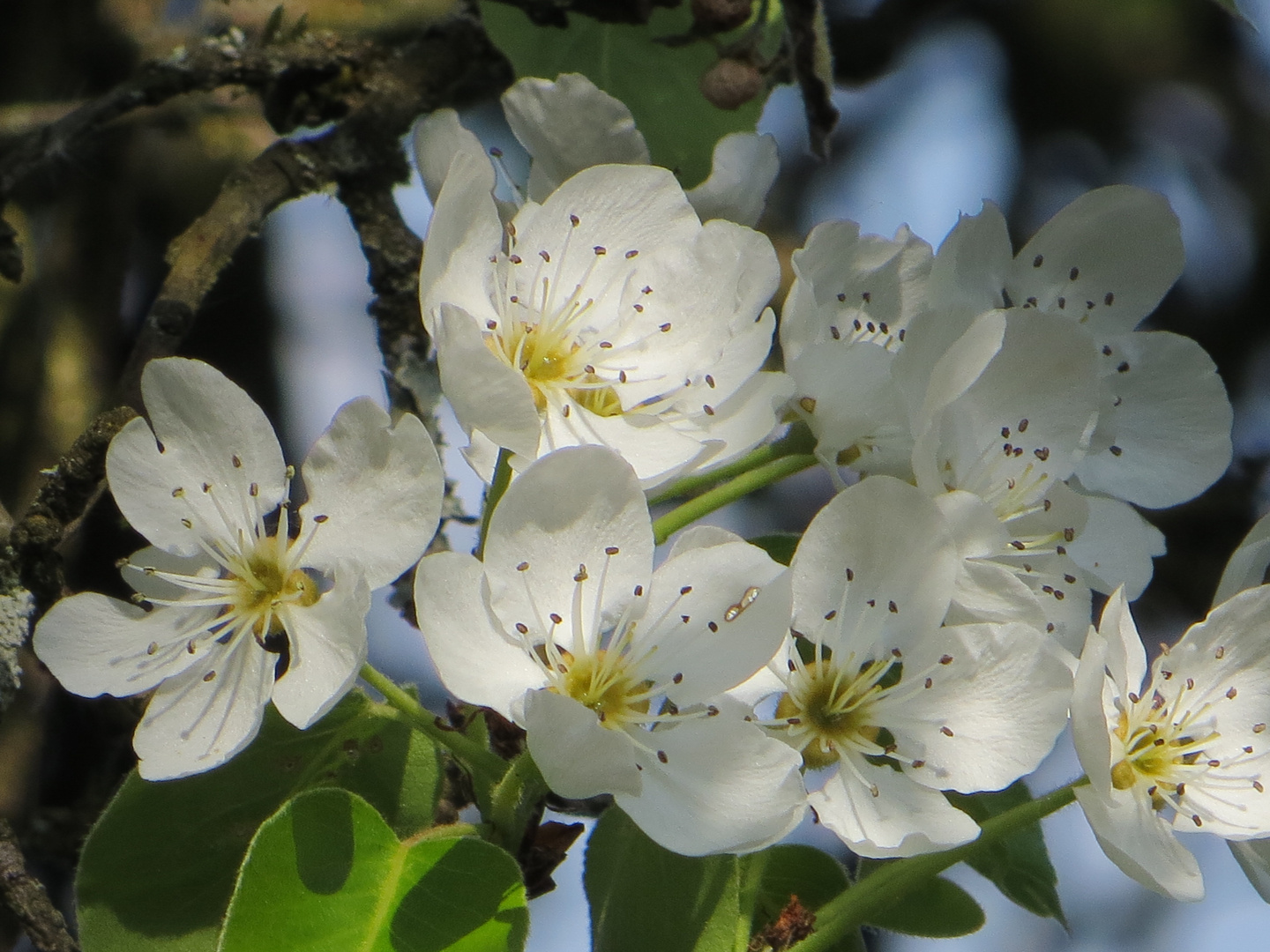 Frühling!