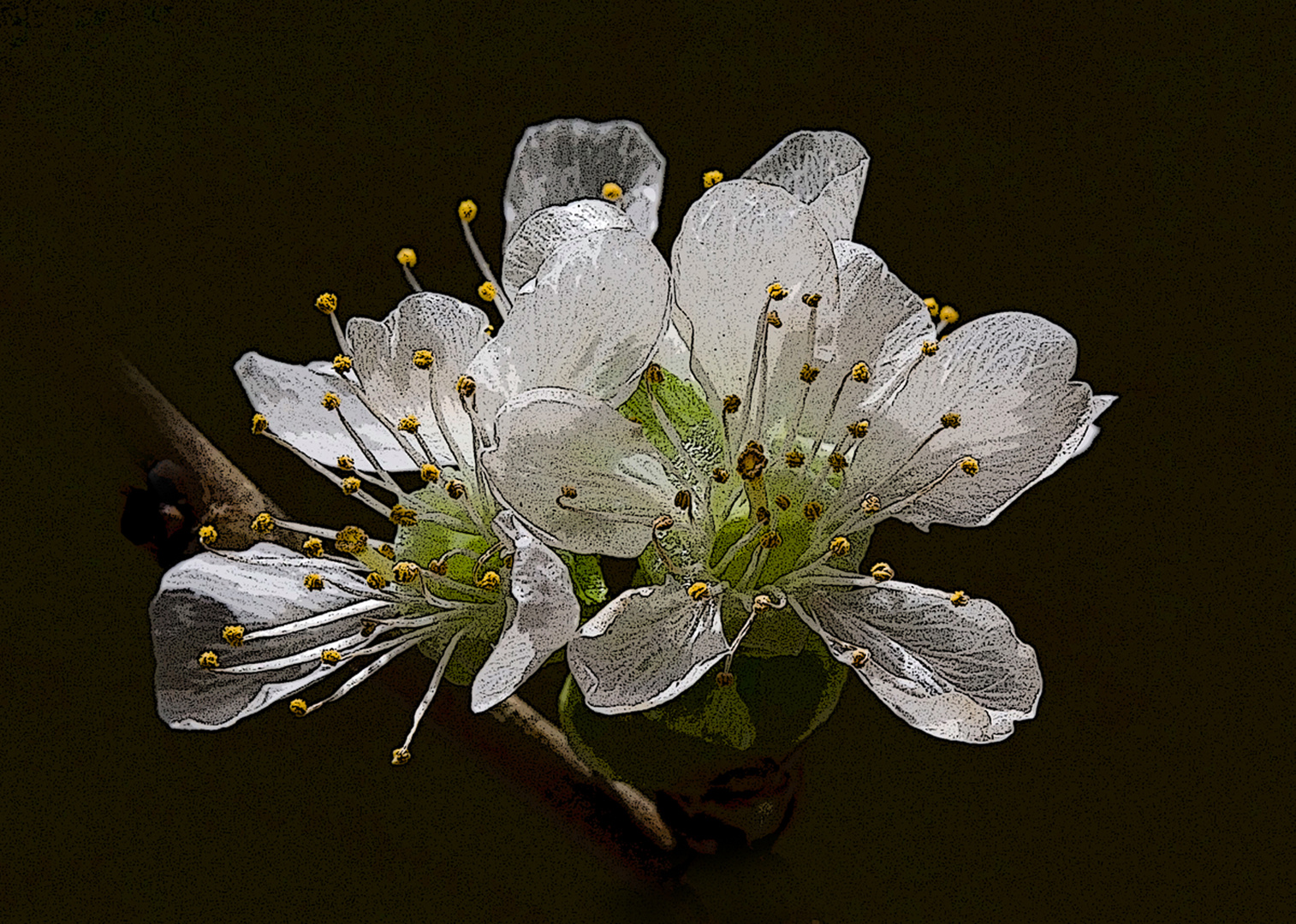 Frühling