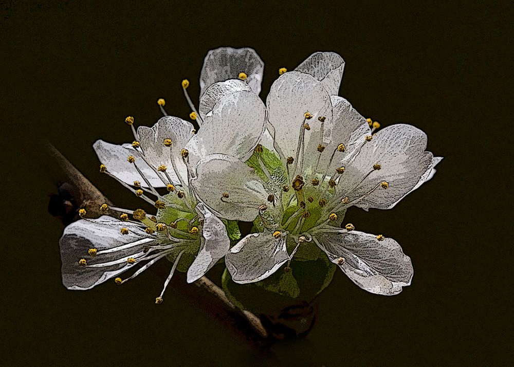 Frühling