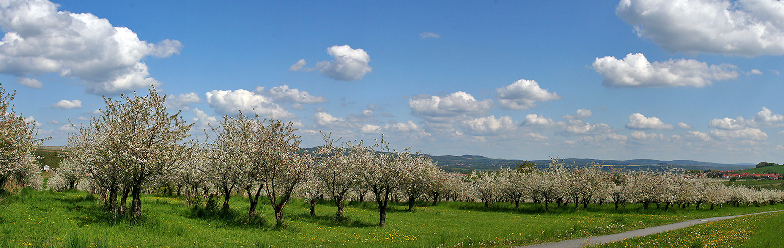 Frühling