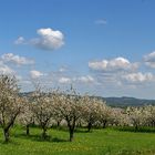 Frühling