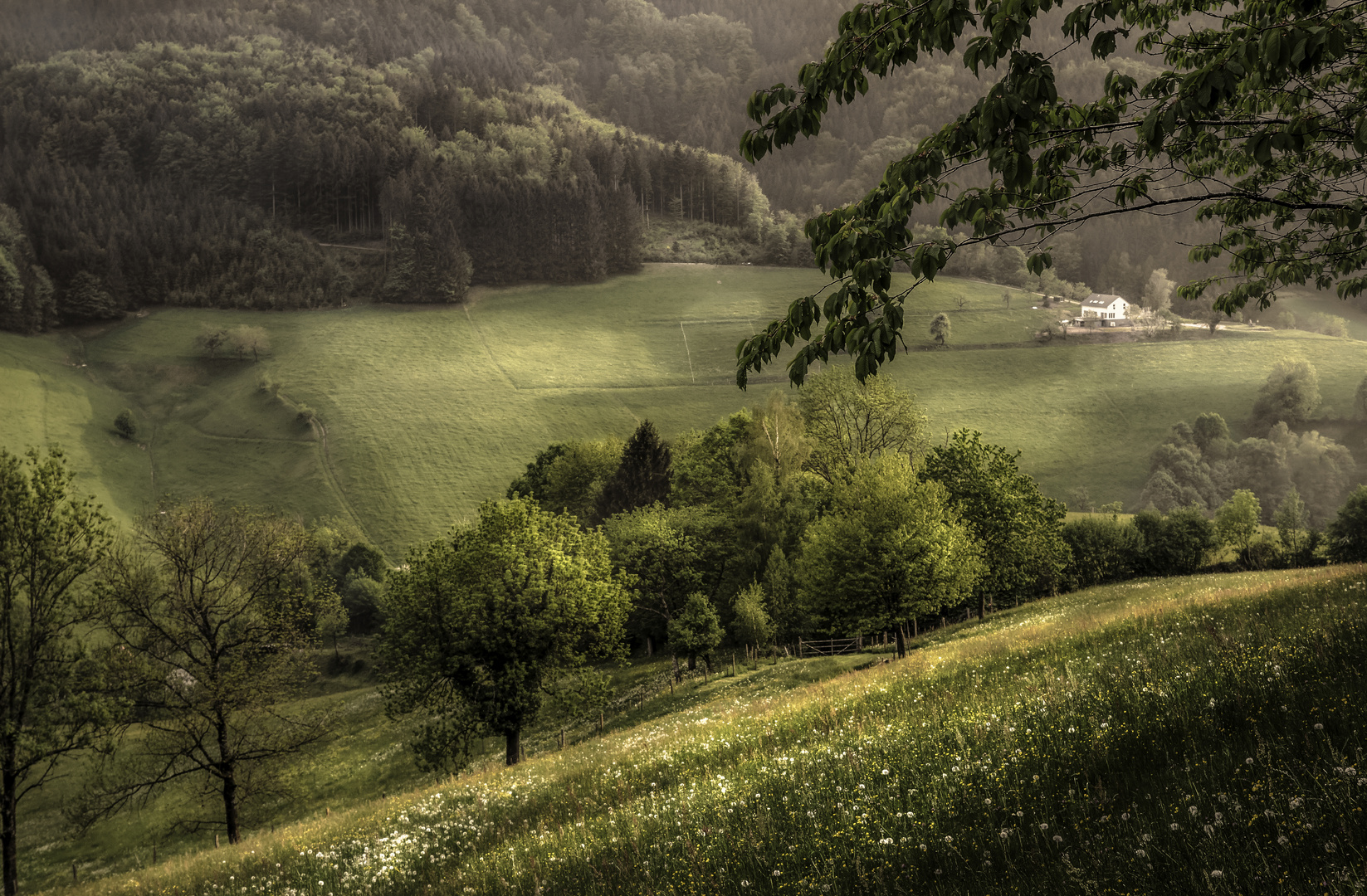 Frühling