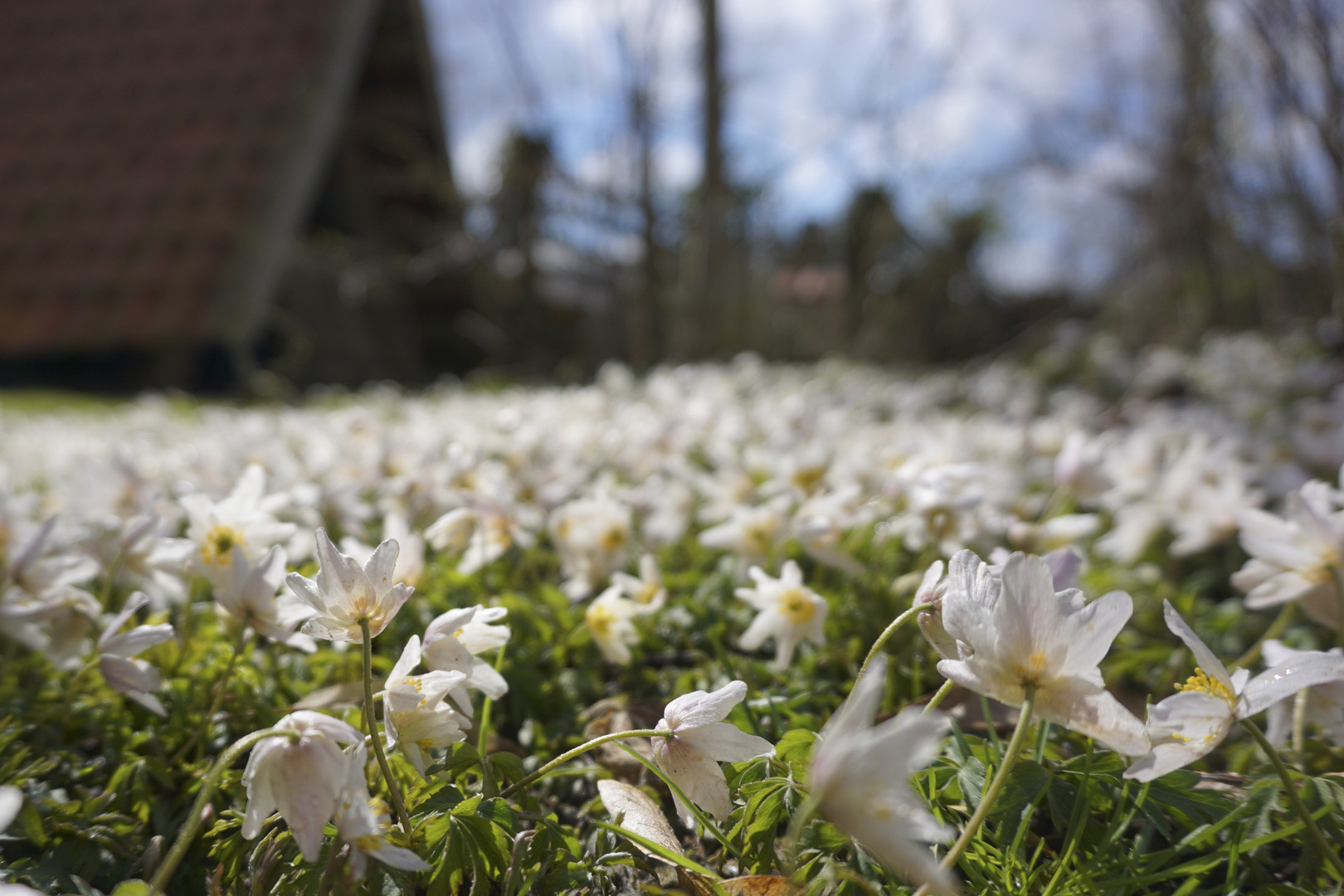 Frühling