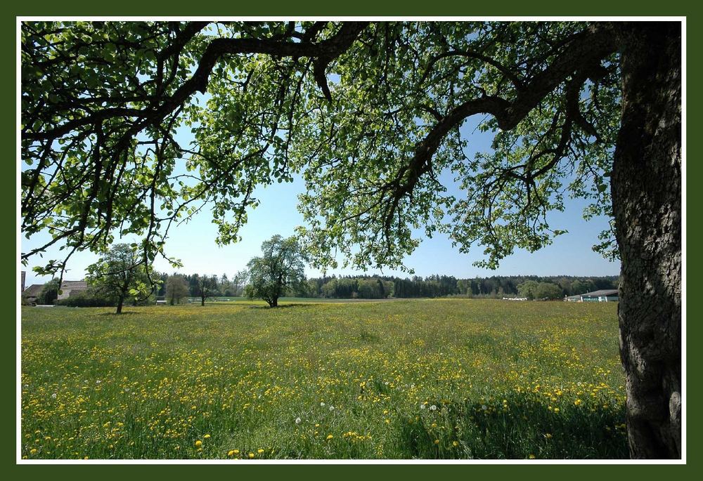 Frühling!