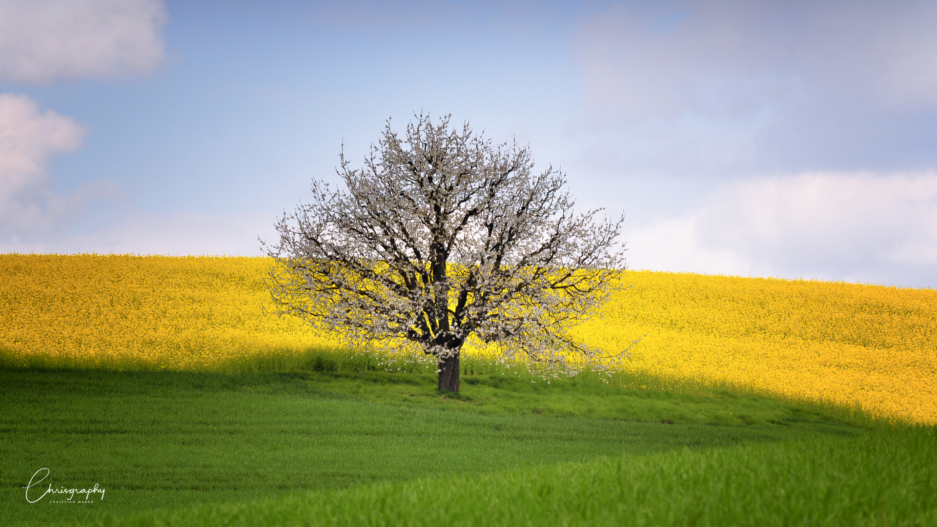 Frühling