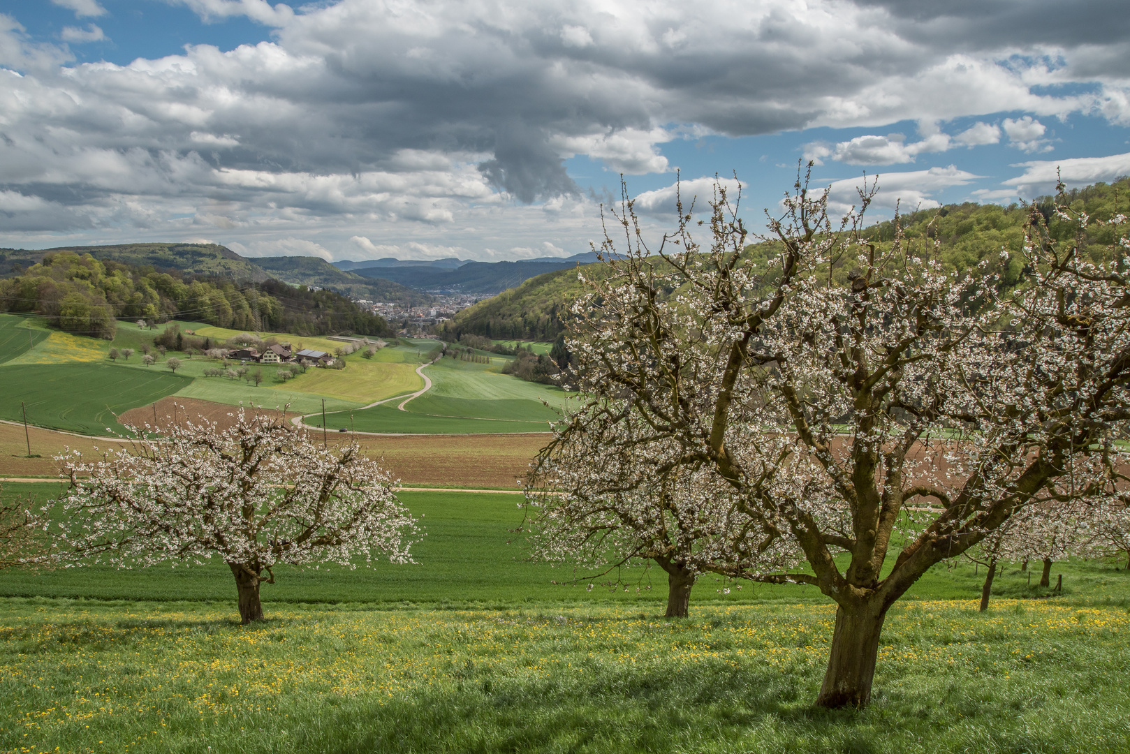 Frühling