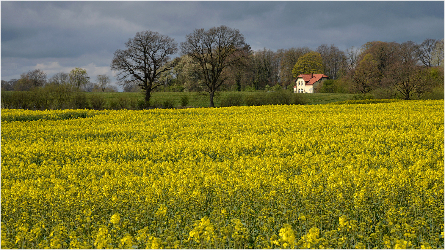 Frühling