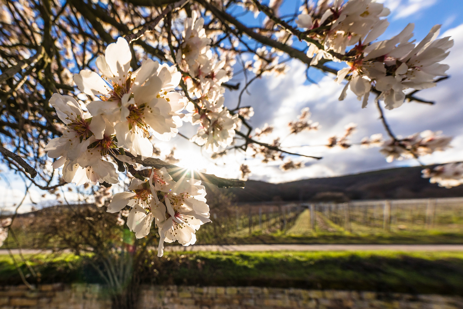 Frühling