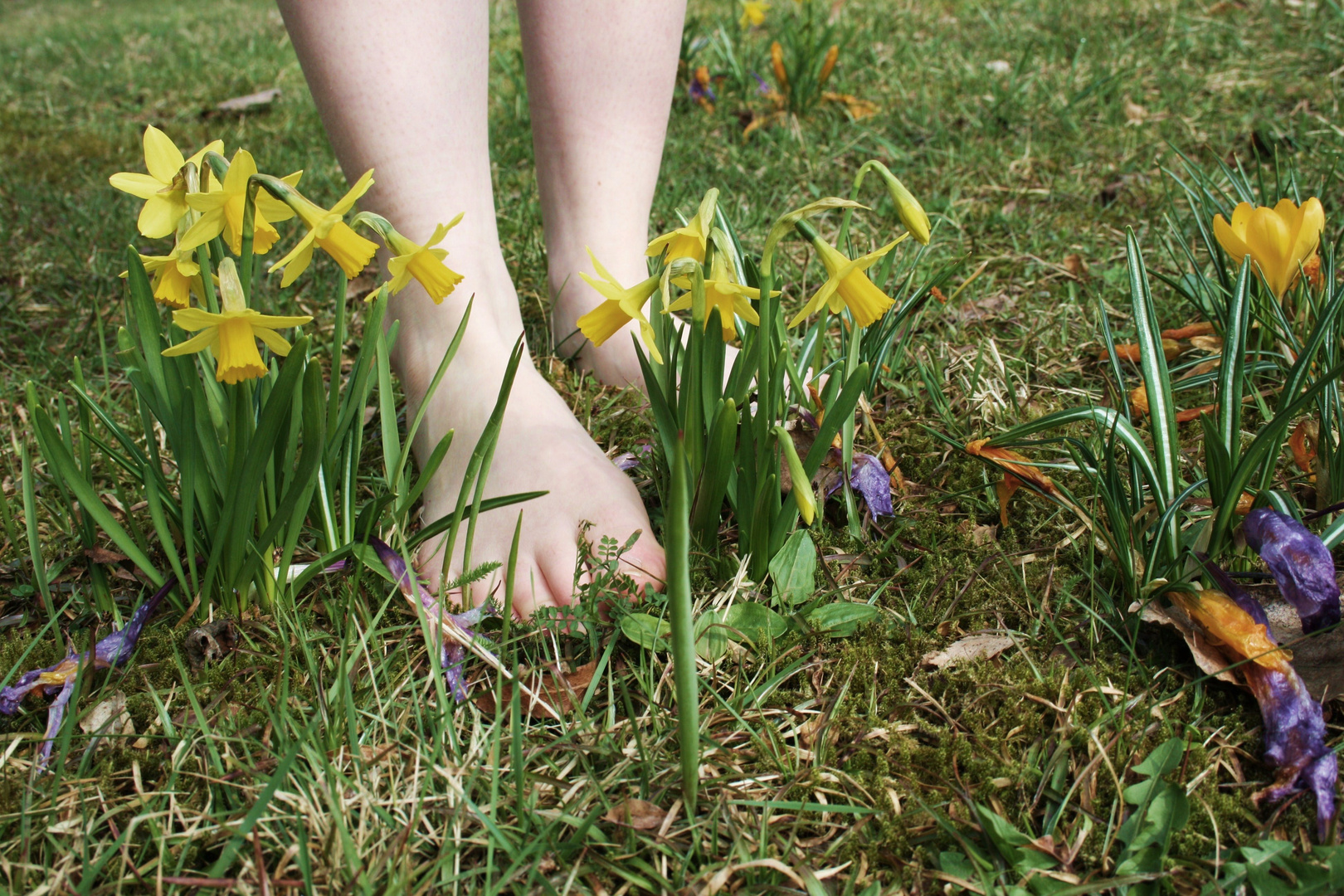 frühling.