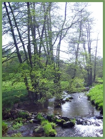 Frühling ....