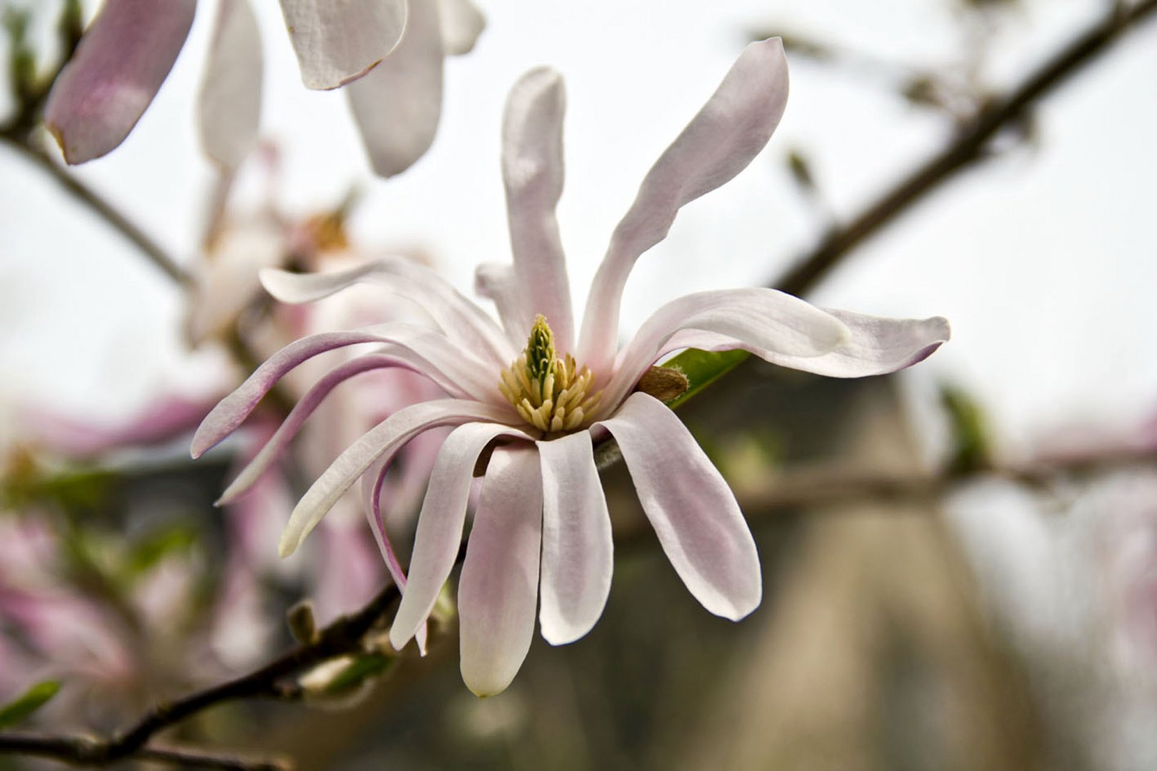 Frühling