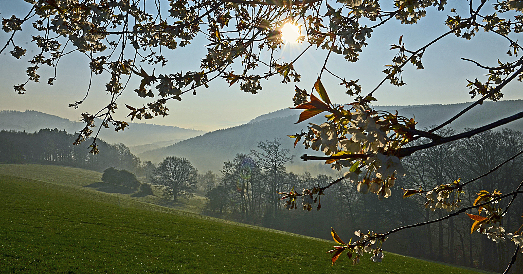 Frühling