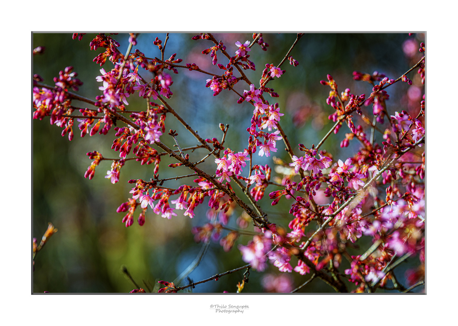 Frühling