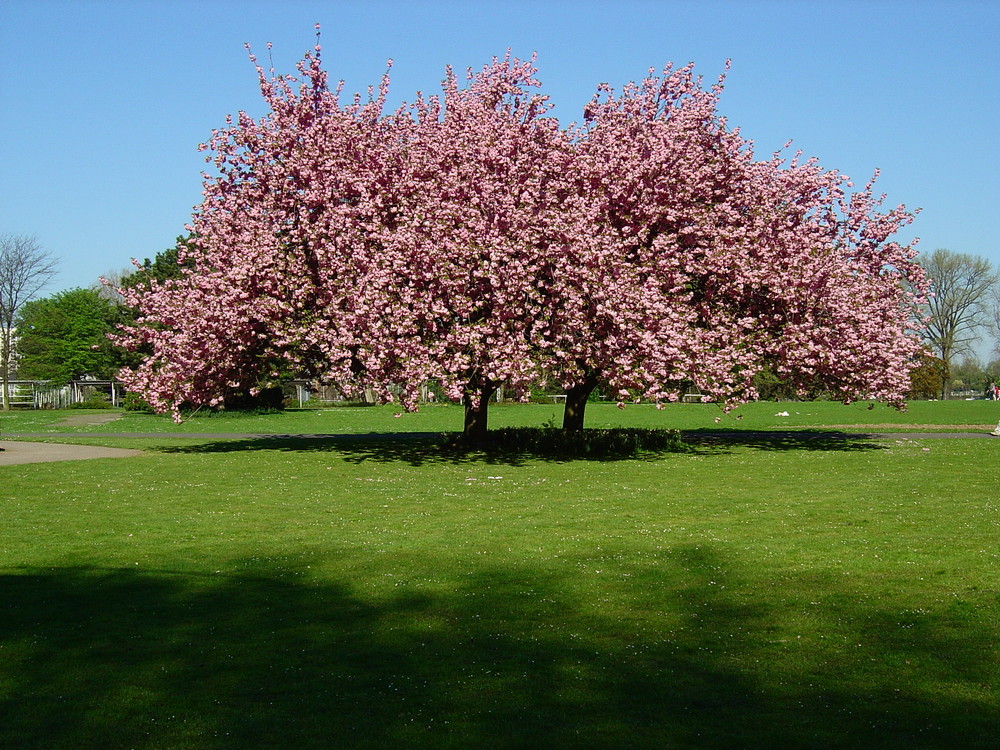 Frühling