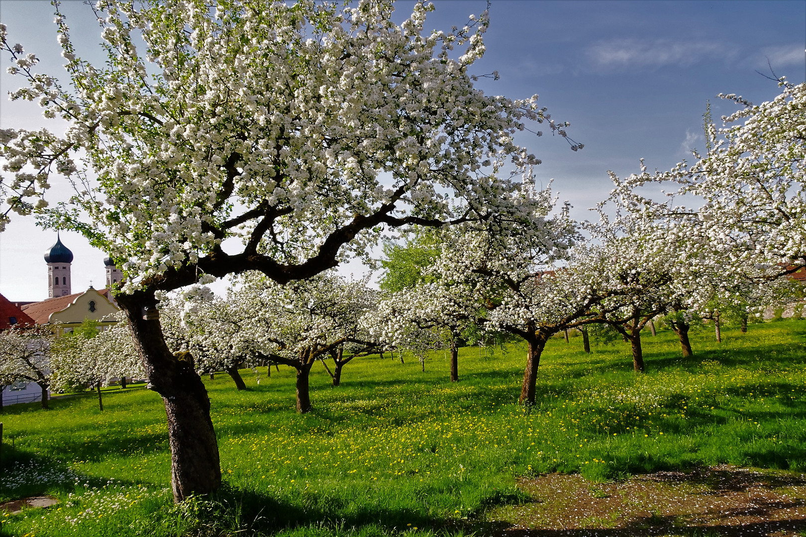 Frühling.