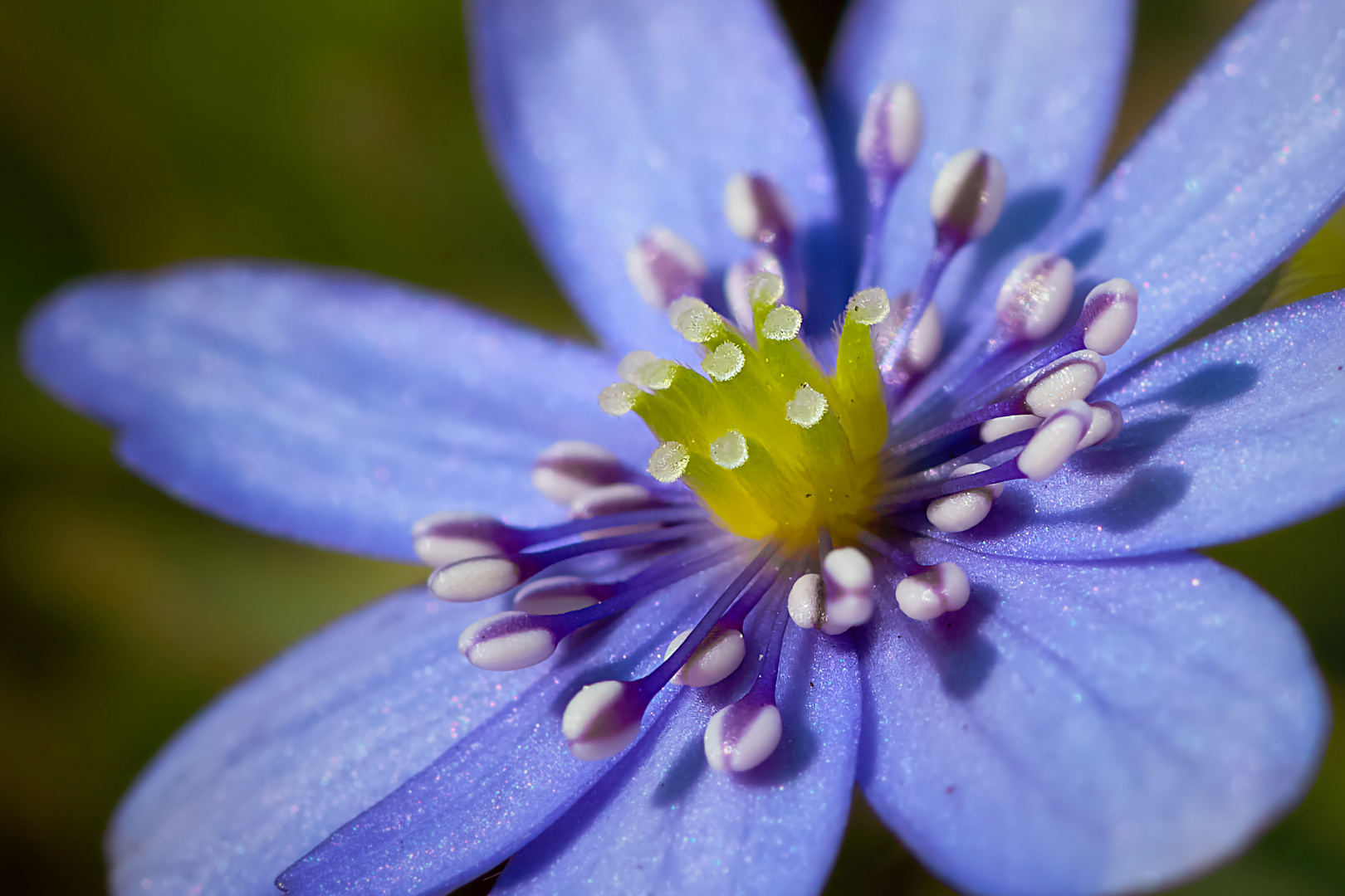 Frühling