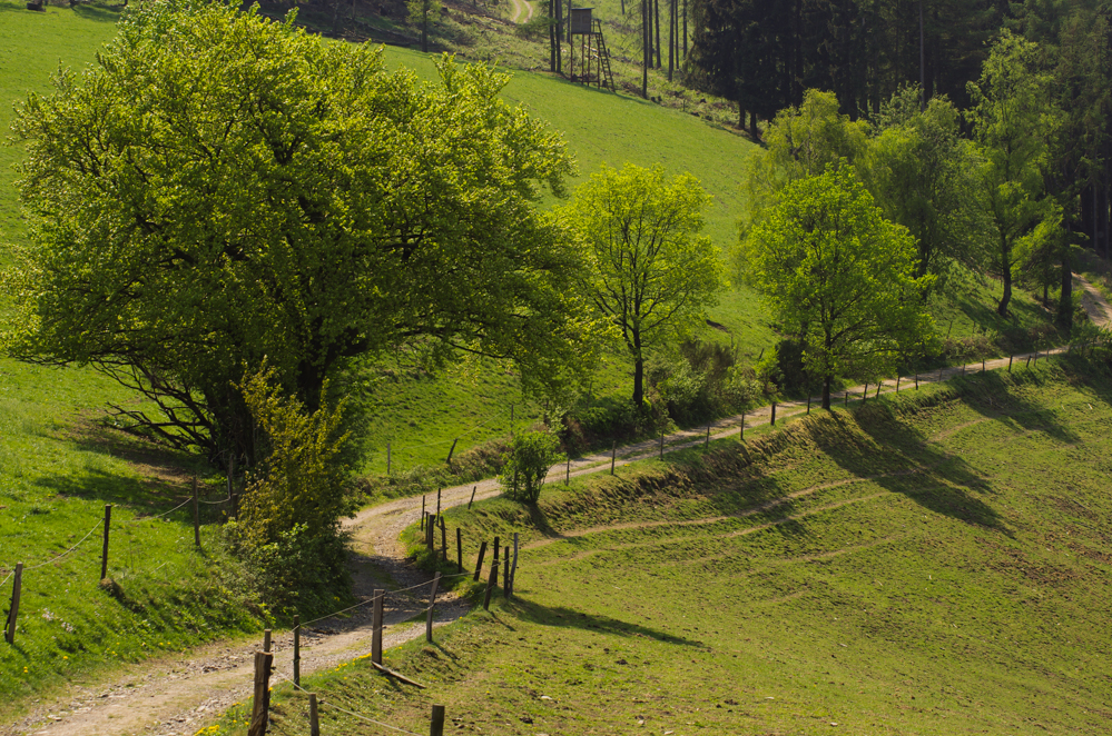 Frühling