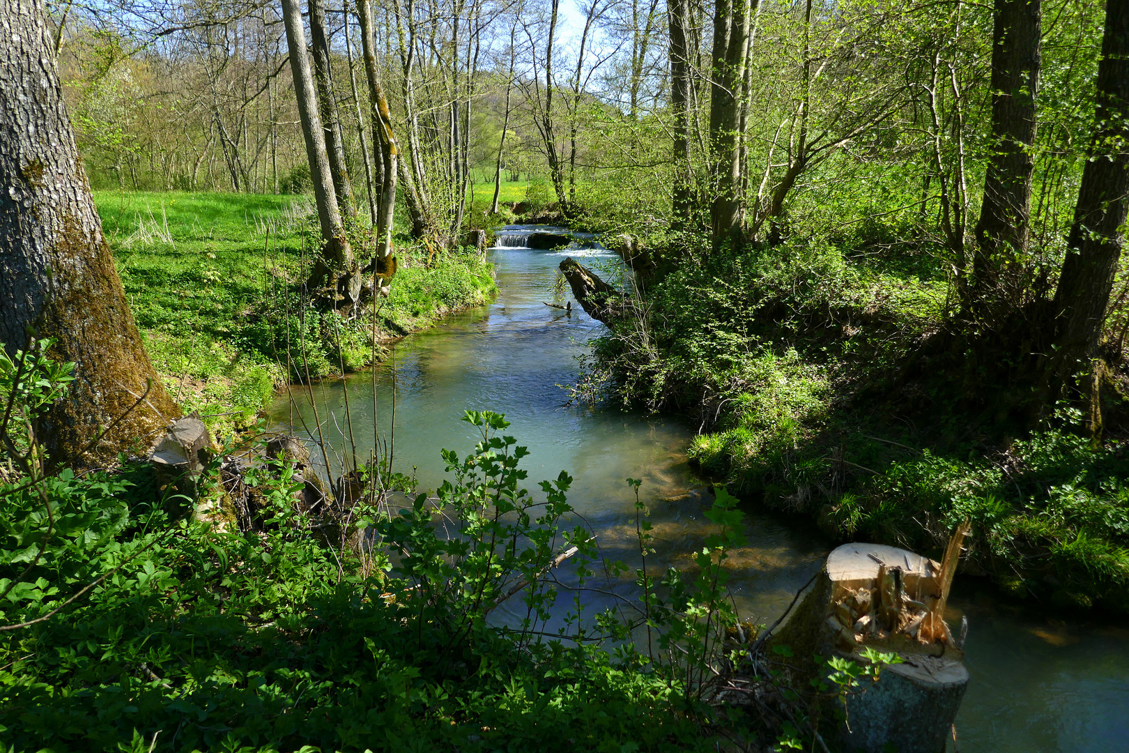 Frühling