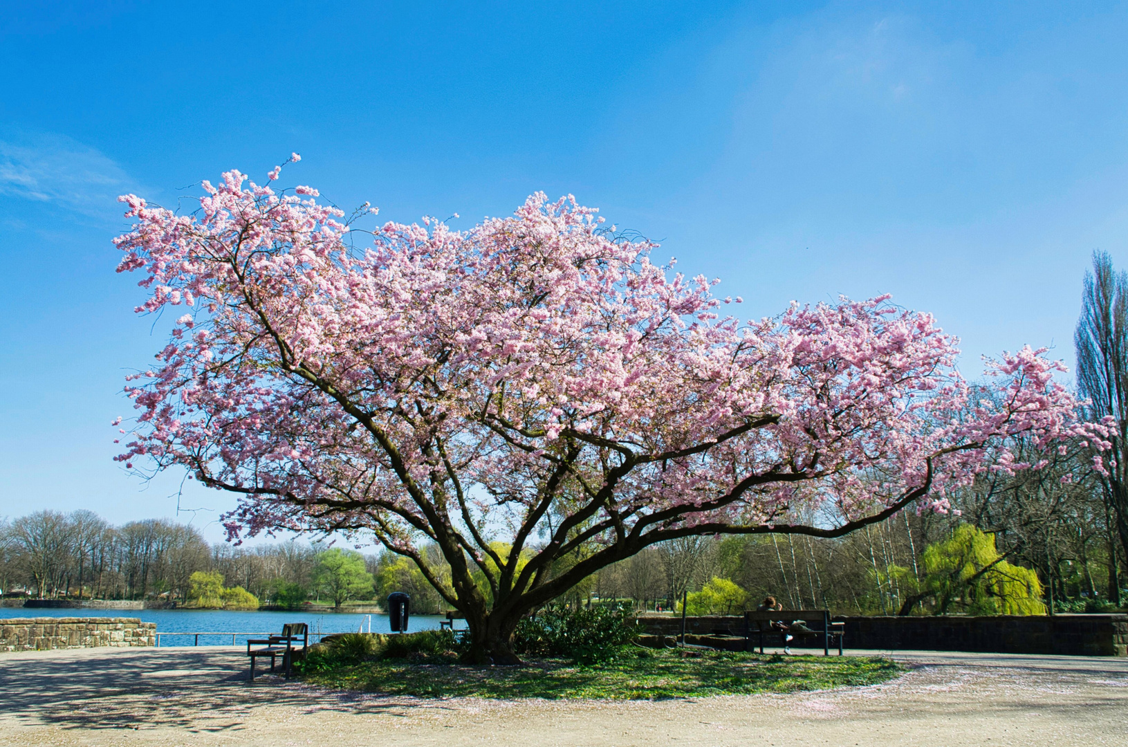 Frühling