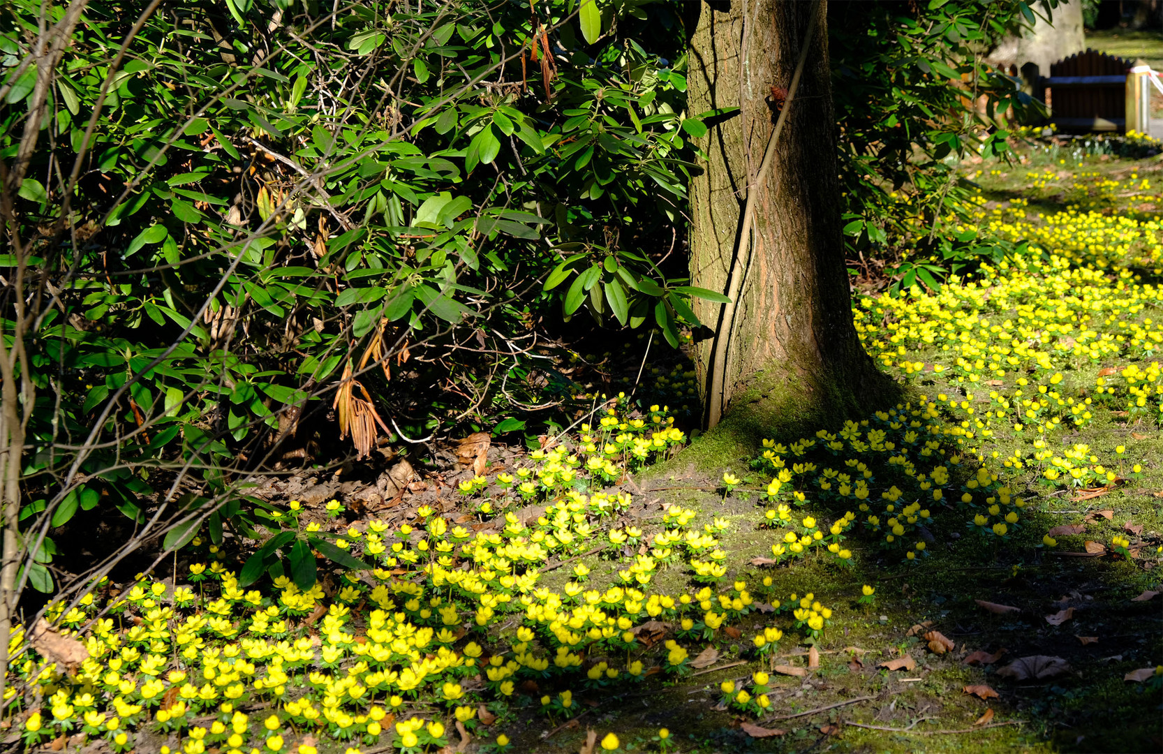 Frühling