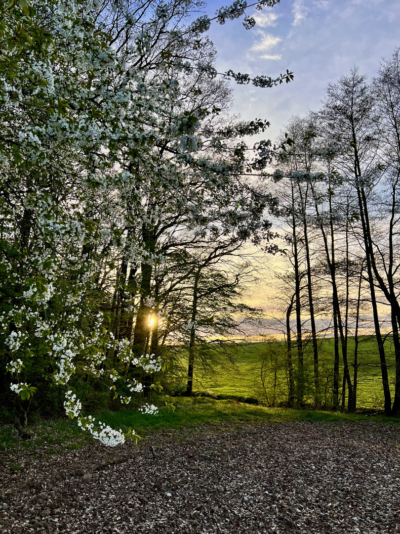 Frühling daheim in Thüringen