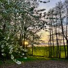 Frühling daheim in Thüringen