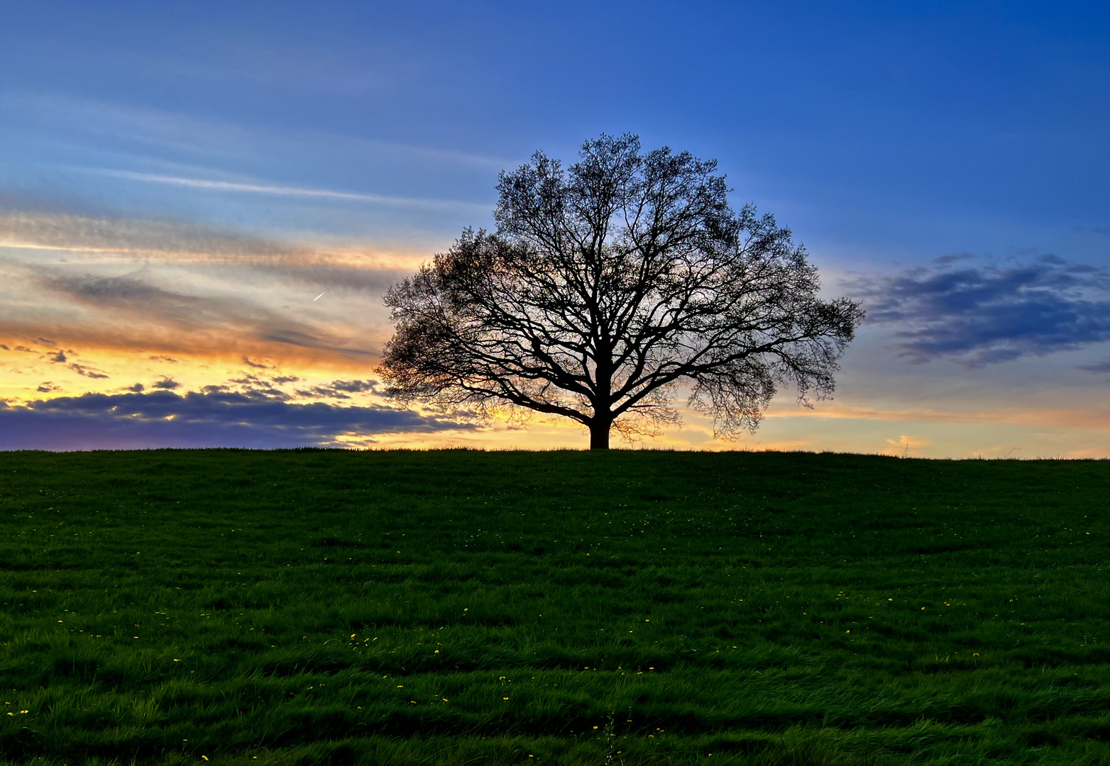 Frühling daheim in Thüringen