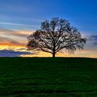 Frühling daheim in Thüringen