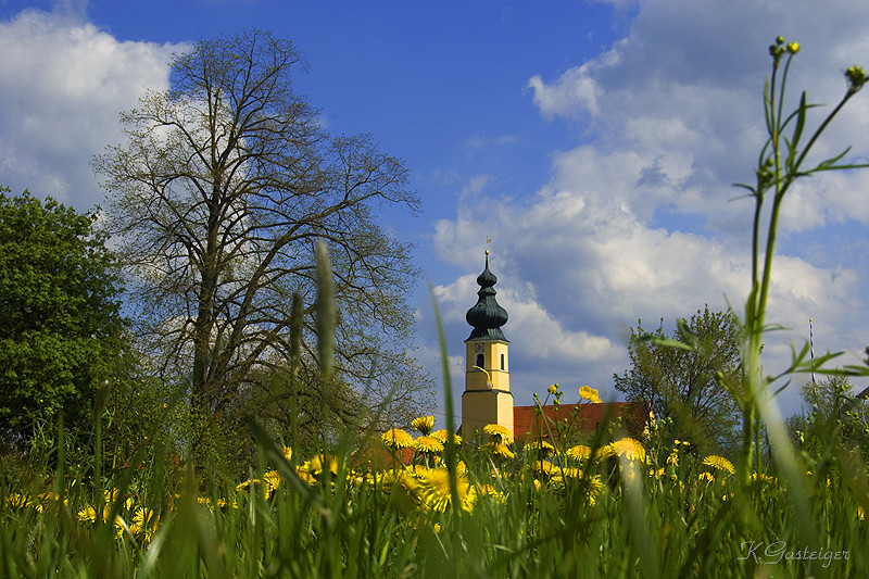 frühling dahoam