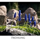 Frühling - das Leben beginnt wieder