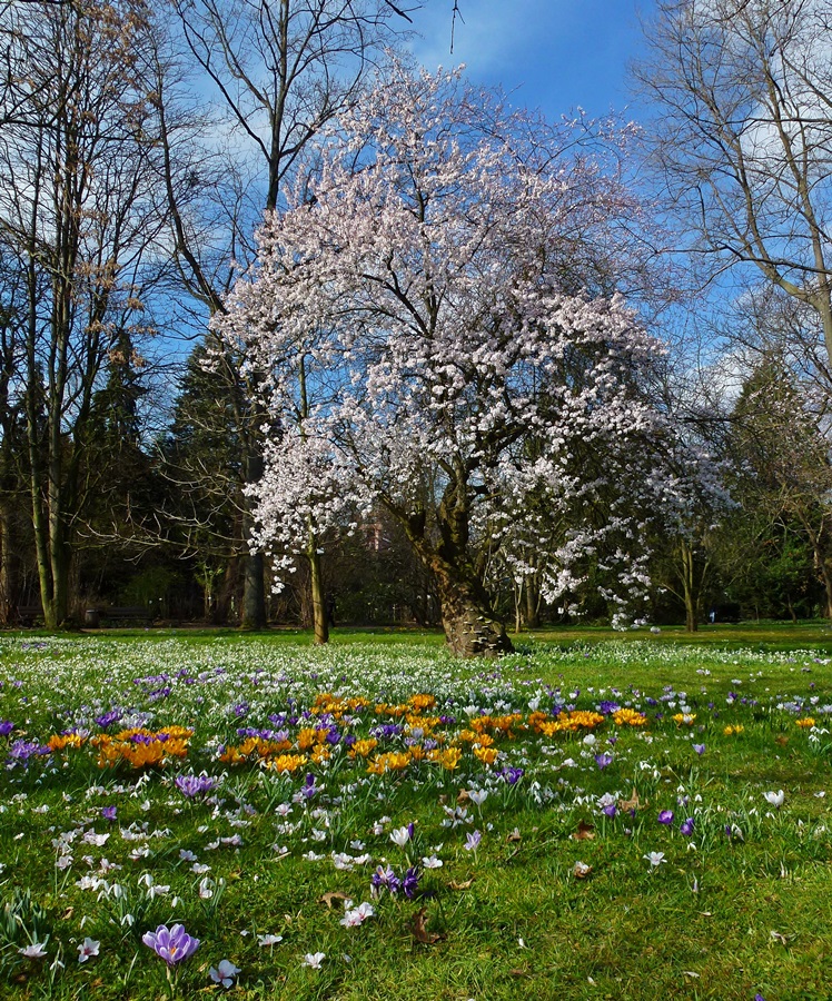 Frühling