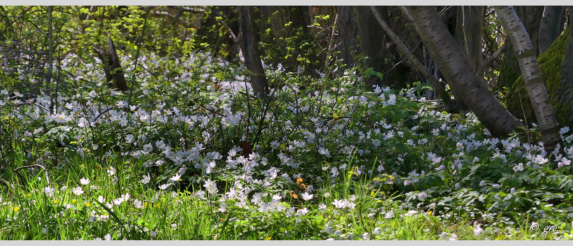 Frühling