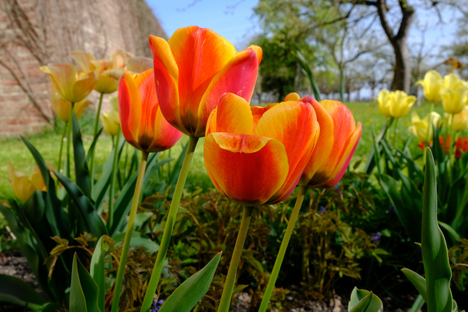 Frühling